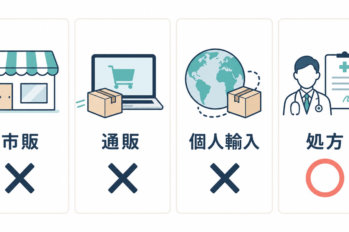 入手ルートごとの可否を示した一覧図