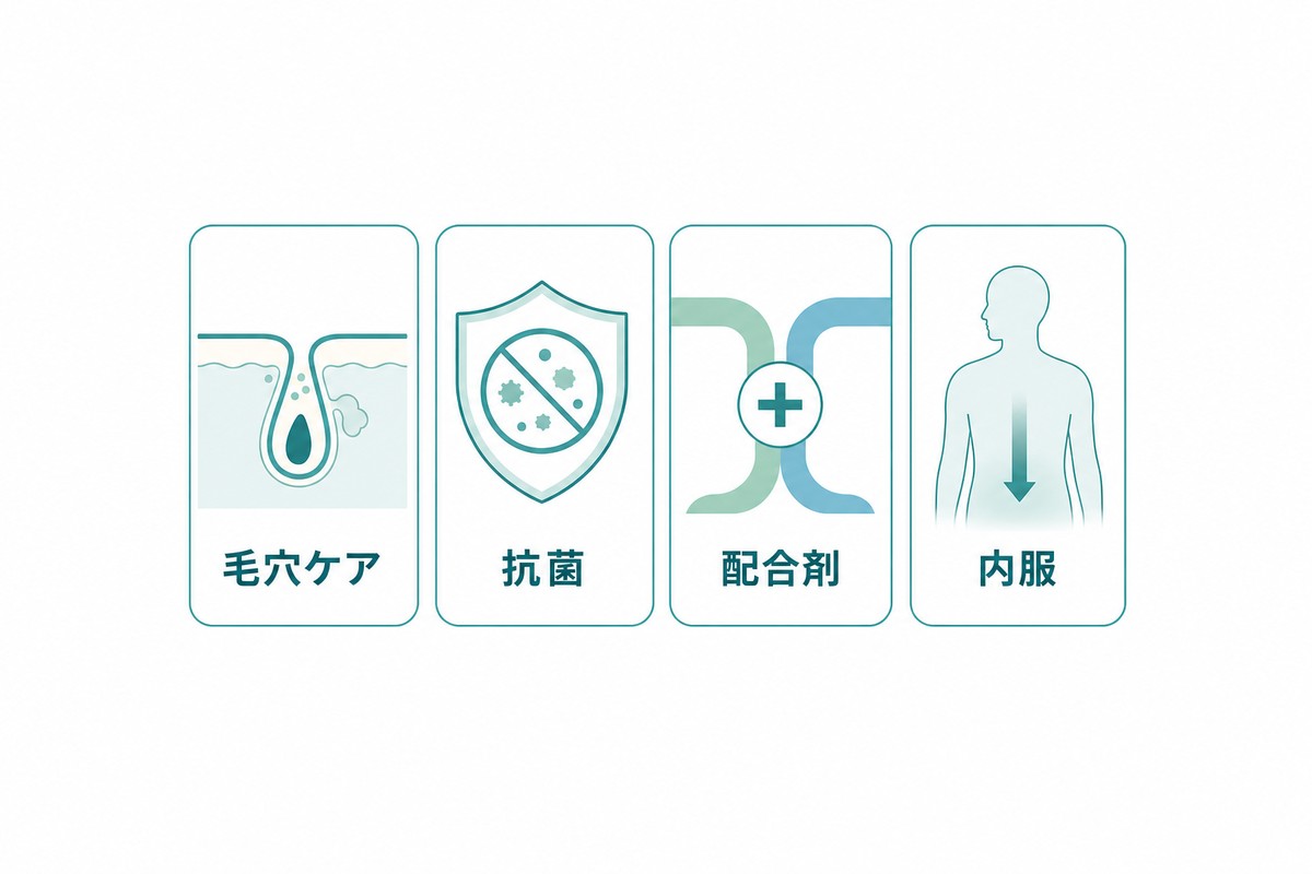 処方薬の全体像を4本柱で示した図解