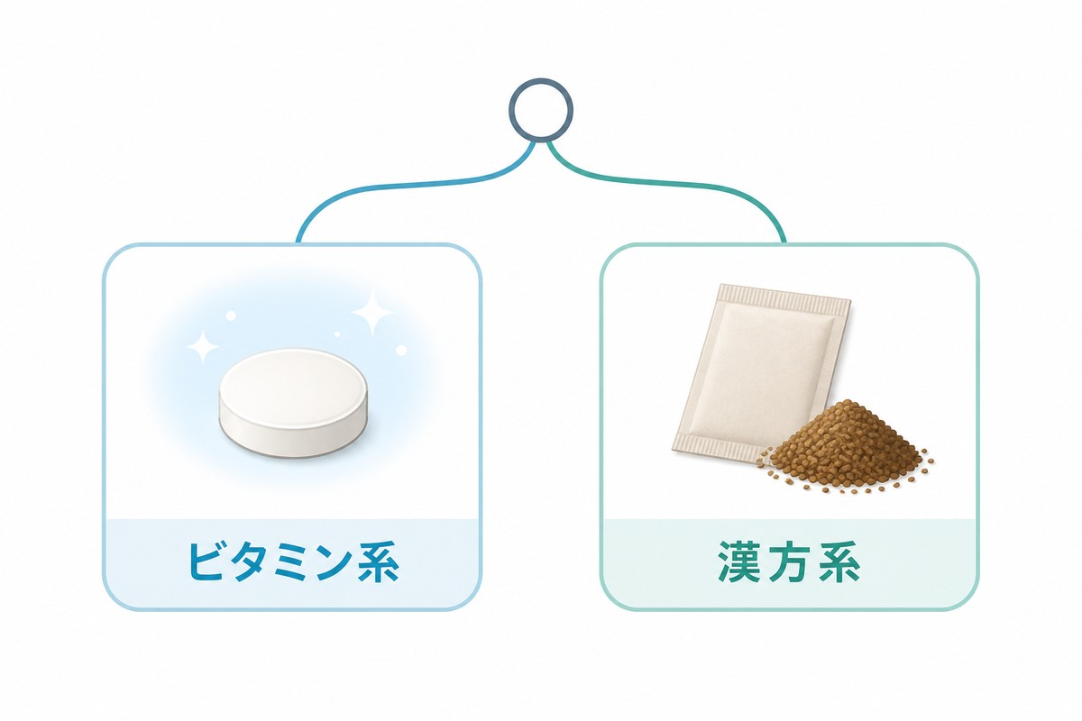 ビタミン系と漢方系の2系統を示す図解