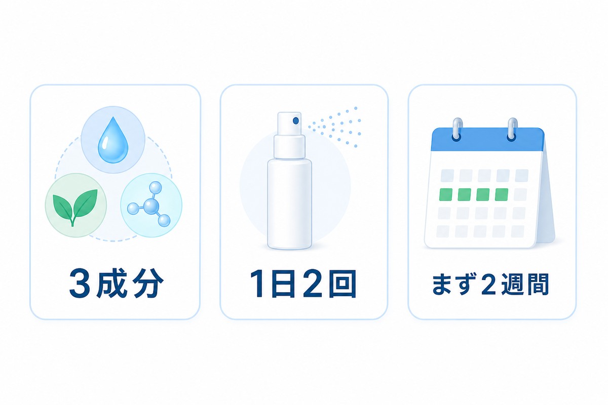 セナキュアの特徴を整理した図解