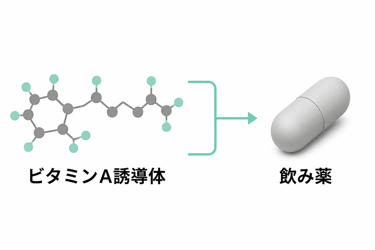 ビタミンA誘導体の分類を示す図解