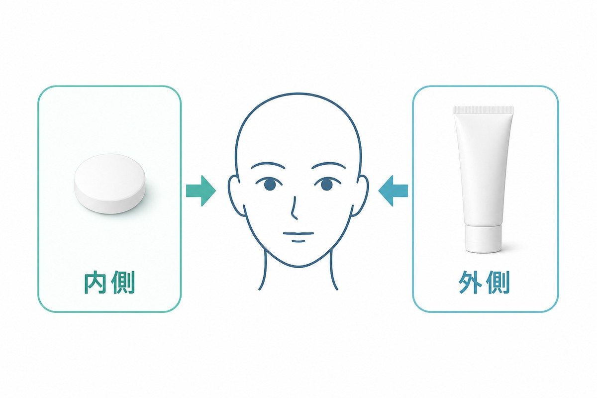 内側の飲み薬と外側の塗り薬の役割分担を示す図
