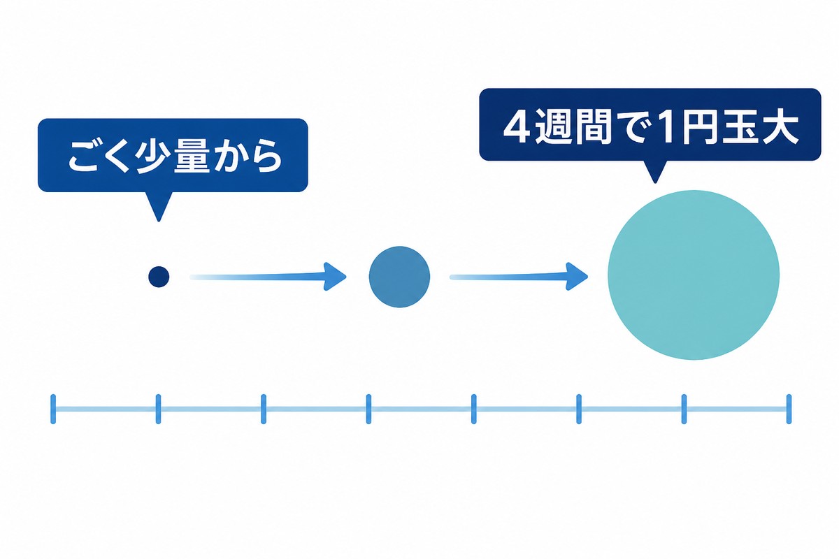少量から徐々に増やす慣らし方を示す図解